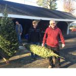 
Christmas Tree sale